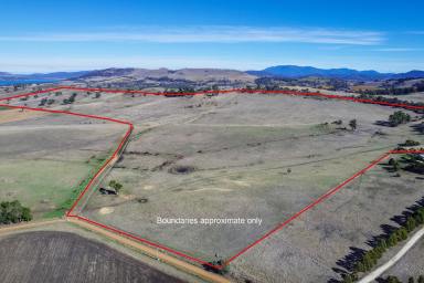 Farm For Sale - TAS - Orielton - 7172 - Rich Soils, Reliable Water & Views of Everything in Absolute Privacy  (Image 2)