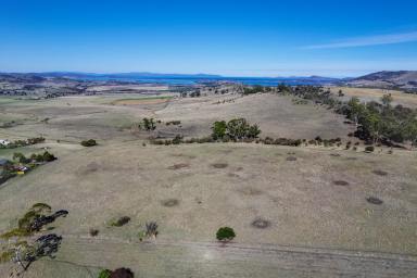 Farm For Sale - TAS - Orielton - 7172 - Rich Soils, Reliable Water & Views of Everything in Absolute Privacy  (Image 2)
