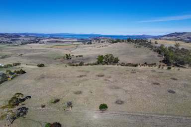 Farm For Sale - TAS - Orielton - 7172 - Aspect, Location, Soils, & 99% Surety Water. The Perfect Combination.  (Image 2)