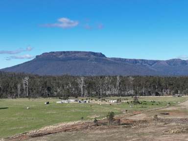 Farm For Sale - TAS - Mersey Forest - 7304 - Views of Cradle Mountain  (Image 2)