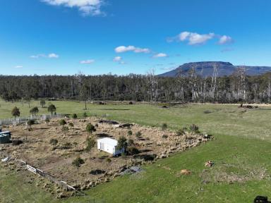 Farm For Sale - TAS - Mersey Forest - 7304 - Views of Cradle Mountain  (Image 2)