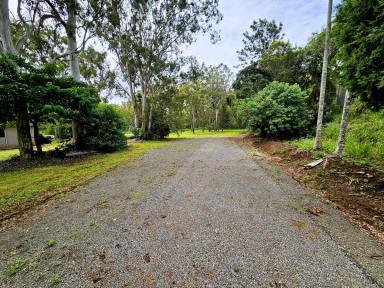 Farm For Sale - QLD - Tolga - 4882 - ONE ACRE OF TOLGA LAND WITH TITLE  (Image 2)