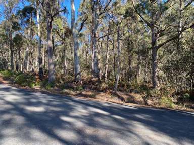 Farm For Sale - TAS - Reedy Marsh - 7304 - Bush Block  (Image 2)