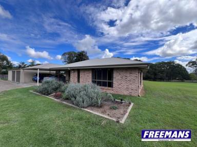 Farm For Sale - QLD - Kingaroy - 4610 - Set up High out of the Frost.  (Image 2)
