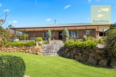 Farm For Sale - NSW - Goulburn - 2580 - You Won't Find Better  (Image 2)