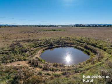 Farm For Sale - NSW - Goulburn - 2580 - Fantastic Block, Better Location  (Image 2)