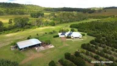 Farm For Sale - QLD - McIlwraith - 4671 - Farming Meets Lifestyle  (Image 2)
