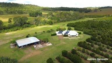 Farm Sold - QLD - McIlwraith - 4671 - Farming Meets Lifestyle  (Image 2)