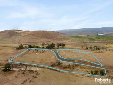 Farm For Sale - TAS - Hamilton - 7140 - Escape to the Country  (Image 2)