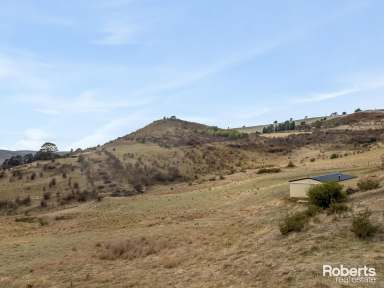 Farm For Sale - TAS - Hamilton - 7140 - Escape to the Country  (Image 2)