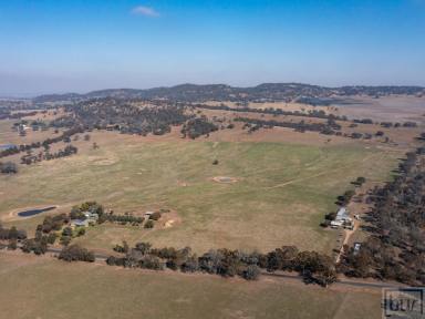 Farm For Sale - NSW - Gerogery - 2642 - "Kaputar Park"  (Image 2)