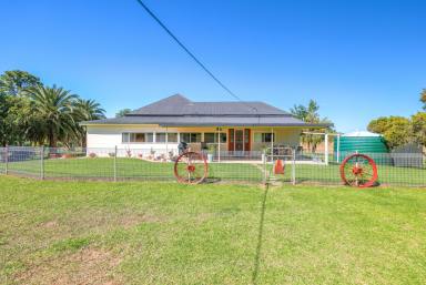 Farm For Sale - NSW - Barraba - 2347 - OUTSTANDING BLEND OF PRODUCTION AND LIFESTYLE  (Image 2)