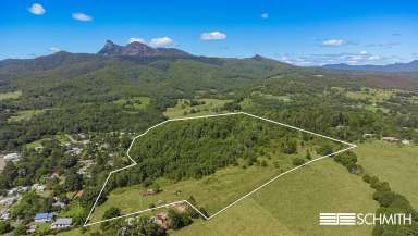 Farm For Sale - NSW - Tyalgum - 2484 - IN TOWN ACREAGE - POTENTIAL SUBDIVISION  (Image 2)