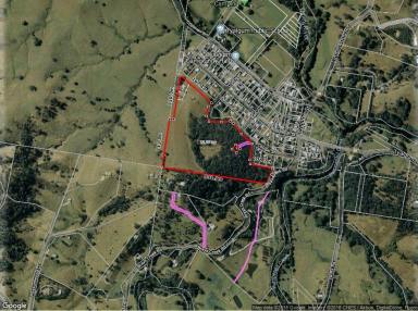 Farm For Sale - NSW - Tyalgum - 2484 - IN TOWN ACREAGE - POTENTIAL SUBDIVISION  (Image 2)