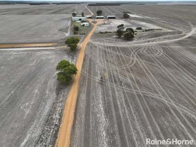 Farm Sold - WA - Gairdner - 6337 - Gairdner Gem  (Image 2)