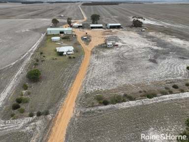 Farm For Sale - WA - Gairdner - 6337 - Gairdner Gem  (Image 2)