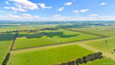 Farm For Sale - VIC - Glengarry - 3854 - Ideal turnout paddock or fodder production.  (Image 2)