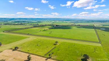 Farm For Sale - VIC - Glengarry - 3854 - Ideal turnout paddock or fodder production.  (Image 2)