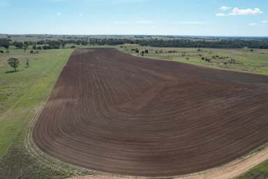 Farm Auction - QLD - Wandoan - 4419 - Productive Pocket of Country  (Image 2)