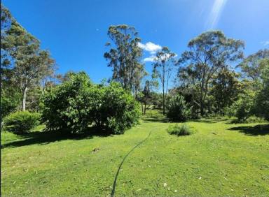 Farm For Sale - QLD - Crows Nest - 4355 - Escape the hustle and bustle in your own private oasis!  (Image 2)