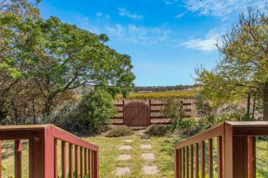 Farm For Sale - SA - Williamstown - 5351 - Endless potential in Southern Barossa !  (Image 2)