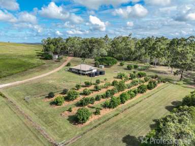 Farm For Sale - QLD - Bungundarra - 4703 - PRIME GRAZING COUNTRY  (Image 2)