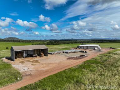 Farm For Sale - QLD - Bungundarra - 4703 - PRIME GRAZING COUNTRY  (Image 2)