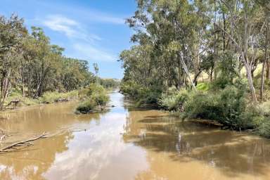 Farm For Sale - NSW - Wyangala - 2808 - 691AC* FAMILY HOME SET ON THE BANK OF THE LACHLAN RIVER!  (Image 2)