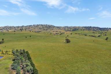 Farm For Sale - NSW - Wyangala - 2808 - 691AC* FAMILY HOME SET ON THE BANK OF THE LACHLAN RIVER!  (Image 2)