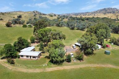 Farm For Sale - NSW - Wyangala - 2808 - 691AC* FAMILY HOME SET ON THE BANK OF THE LACHLAN RIVER!  (Image 2)