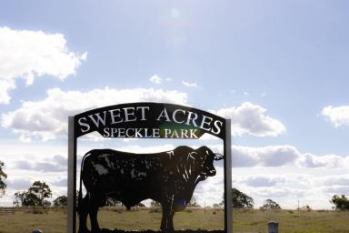 Farm Auction - QLD - Peranga - 4352 - Superb Darling Downs Cattle Country  (Image 2)