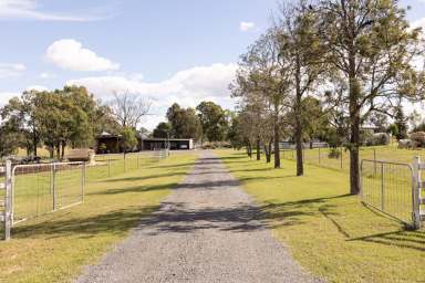 Farm For Sale - QLD - Peranga - 4352 - Superb Darling Downs Cattle Country  (Image 2)