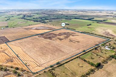 Farm For Sale - VIC - Warrong - 3283 - Magnificent Lifestyle Opportunity  (Image 2)