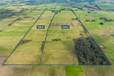 Farm For Sale - VIC - Timboon West - 3268 - "Eurella" Timboon West 279.02 acres  (Image 2)