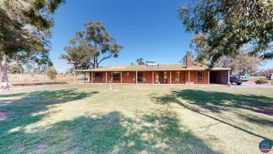 Farm For Sale - VIC - Harston - 3616 - Taste of Tatura  (Image 2)