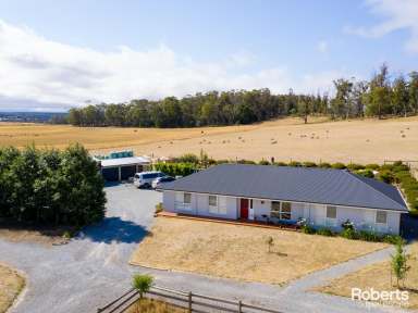 Farm For Sale - TAS - Sidmouth - 7270 - Elegant Country Living  (Image 2)