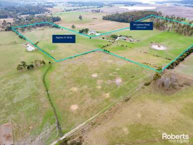 Farm For Sale - TAS - Sidmouth - 7270 - Elegant Country Living  (Image 2)