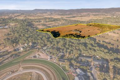 Farm For Sale - VIC - Wangaratta - 3677 - Approved Plans and Permits for the Wangaratta Equine Village  (Image 2)
