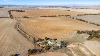 Farm For Sale - VIC - Berriwillock - 3531 - Serene Rural Retreat: 5.3 Acre Property with Renovation Potential  (Image 2)