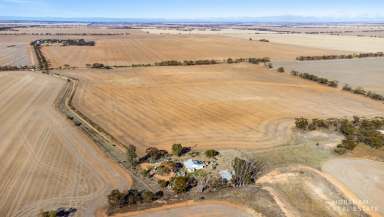 Farm For Sale - VIC - Berriwillock - 3531 - Serene Rural Retreat: 5.3 Acre Property with Renovation Potential  (Image 2)