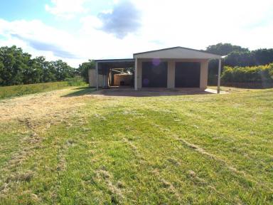 Farm For Sale - QLD - Doolbi - 4660 - WHAT ABOUT THIS ONE!  (Image 2)