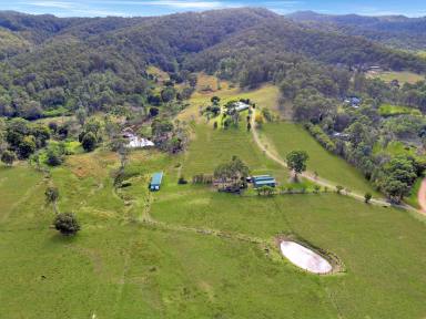 Farm For Sale - NSW - Millfield - 2325 - ‘Summerview’ – A Prime Acreage with Magnificent Views!  (Image 2)