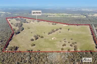 Farm Sold - VIC - Costerfield - 3523 - Idyllic 300 Acres with Serene Bushland Neighbours  (Image 2)