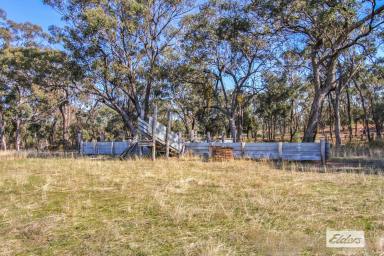 Farm For Sale - VIC - Costerfield - 3523 - Idyllic 300 Acres with Serene Bushland Neighbours  (Image 2)