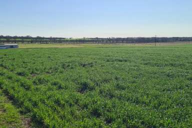 Farm For Sale - WA - Wagin - 6315 - Perfect Add On or Rural Retreat  (Image 2)