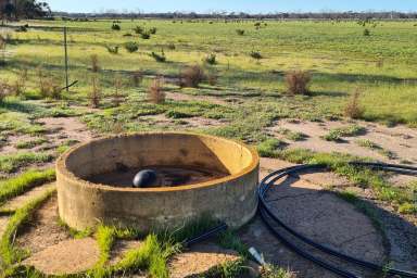 Farm For Sale - WA - Wagin - 6315 - Perfect Add On or Rural Retreat  (Image 2)