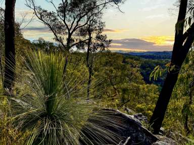 Farm For Sale - NSW - Laguna - 2325 - 232 Diverse Acres of Adventure with Subdivision Potential  (Image 2)