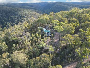 Farm For Sale - NSW - Laguna - 2325 - 232 Diverse Acres of Adventure with Subdivision Potential  (Image 2)