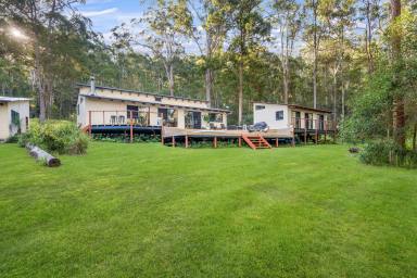 Farm For Sale - NSW - Crescent Head - 2440 - Rustic Retreat on Lifestyle Acreage Just Minutes to Surf  (Image 2)
