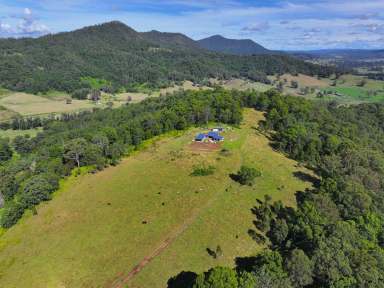 Farm Sold - NSW - Kyogle - 2474 - NESTLED IN THE TREE TOP  (Image 2)